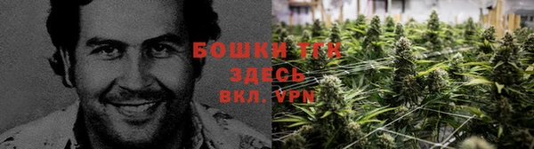 COCAINE Белокуриха