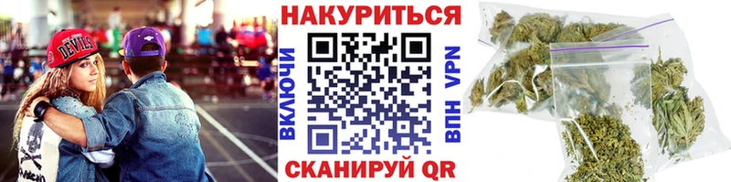 Канабис ГИДРОПОН  Елизаветинская 